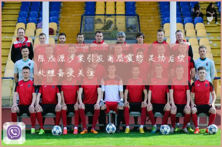 陈戌源涉案引发高层震怒 足协后续处理备受关注