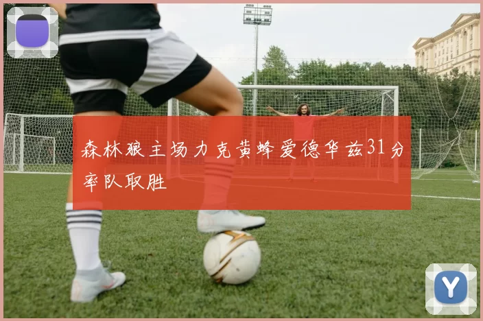 森林狼主场力克黄蜂爱德华兹31分率队取胜