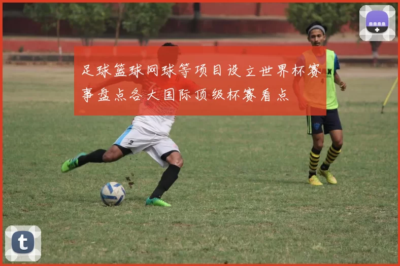 足球篮球网球等项目设立世界杯赛事盘点各大国际顶级杯赛看点